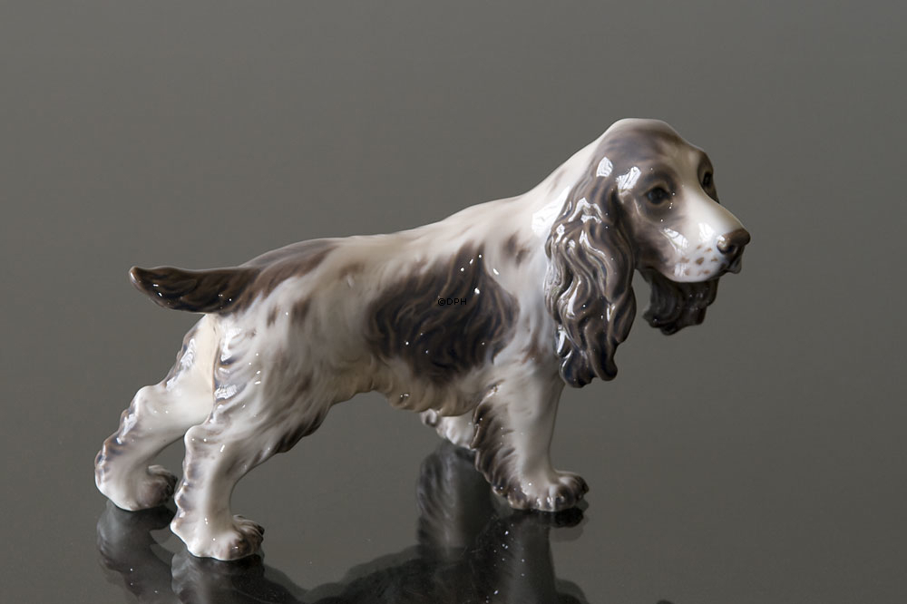 Hund Cocker Spaniel Dahl Jensen