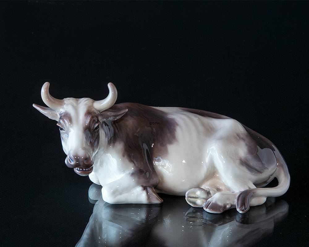 Kuh liegend Nr. 1234 Dahl Jensen