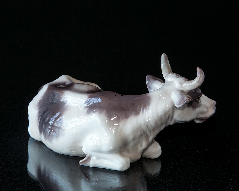 Kuh liegend Nr. 1234 Dahl Jensen