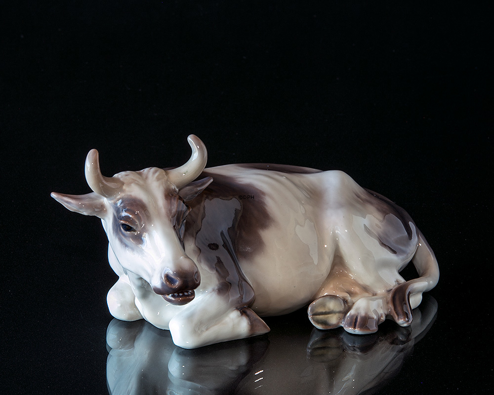 Kuh liegend Nr. 1234 Dahl Jensen