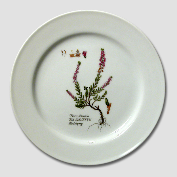 Flora Danica Teller, Besenheide