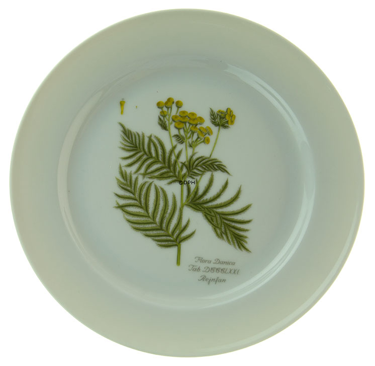 Flora Danica Teller, Faxe, Rejnfan