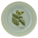 Flora Danica Teller, Faxe, Rejnfan