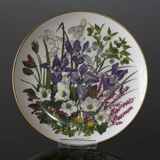 Franklin Porzellan, Wedgwood, Teller mit Blumen des Jahres Januar