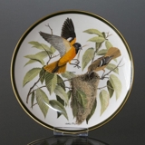 Franklin Porzellan Wedgwood, 1977, Singvögel der Welt, Baltimoretrupial