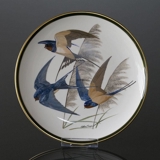 Franklin Porzellan Wedgwood, 1977, Singvögel der Welt, Rauchschwalbe