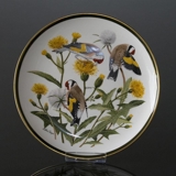 Franklin Porzellan Wedgwood, 1977, Singvögel der Welt, Stieglitz