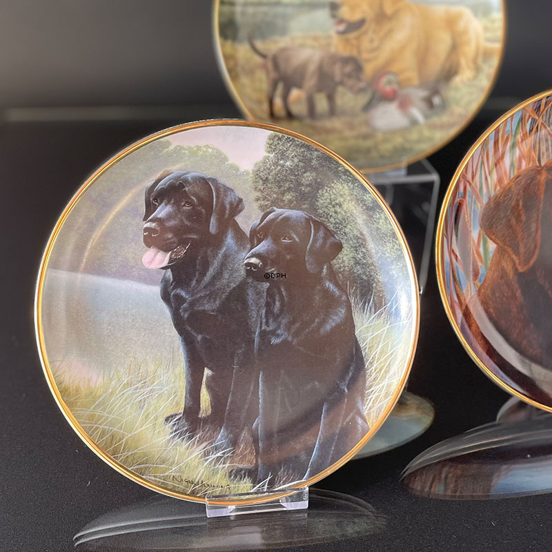 Tove Svendsen Hundeteller, Bobtail