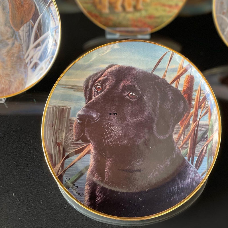 Tove Svendsen Hundeteller, Bobtail