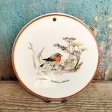 Mads Stage Butterbrett Rotkehlchen Erithacus rubecula