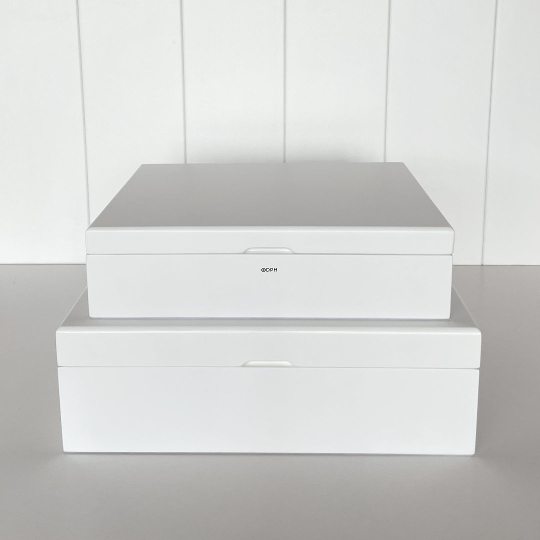 Weiße Aufbewahrungsbox mit 12 Fächern 31x23x10cm