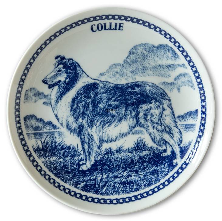 Hansa Hundeteller Nr. 1, Collie