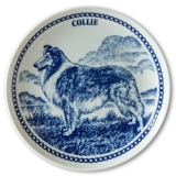 Hansa Hundeteller Nr. 1, Collie