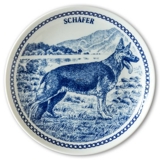 Hansa Hundeteller Nr. 5, Deutscher Schäferhund