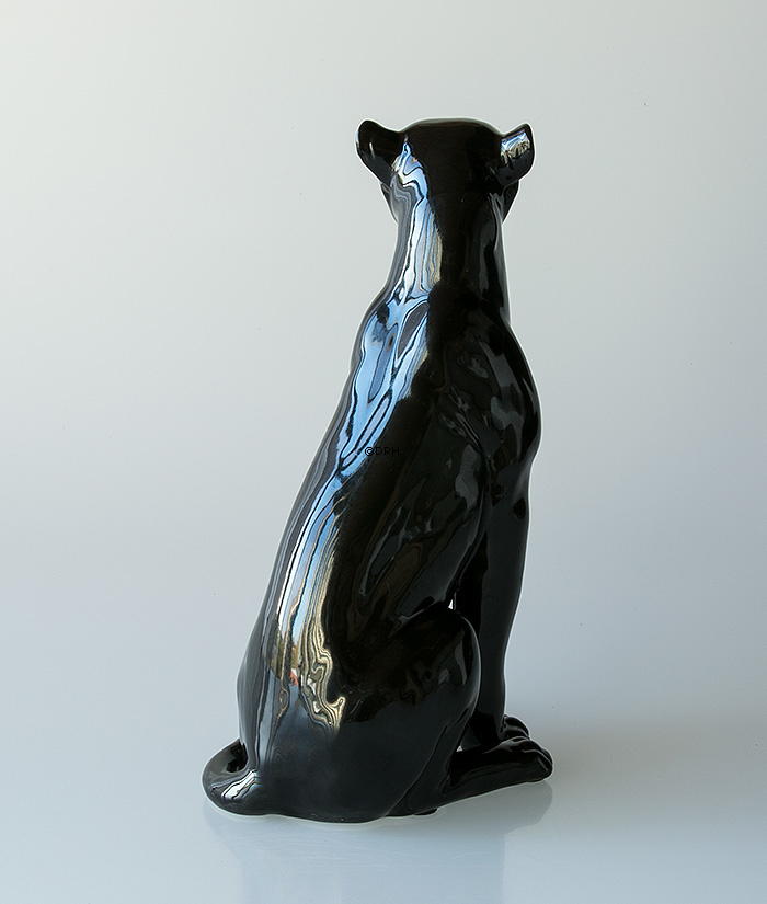 Leopard in schwarzem sitzend