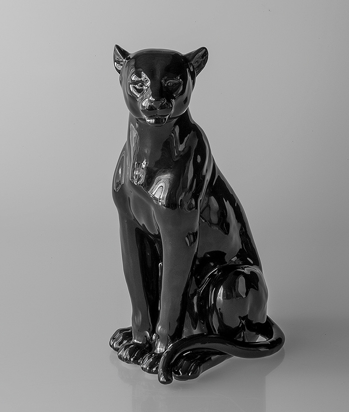 Leopard in schwarzem sitzend