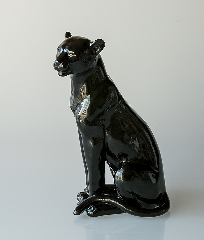 Leopard in schwarzem sitzend