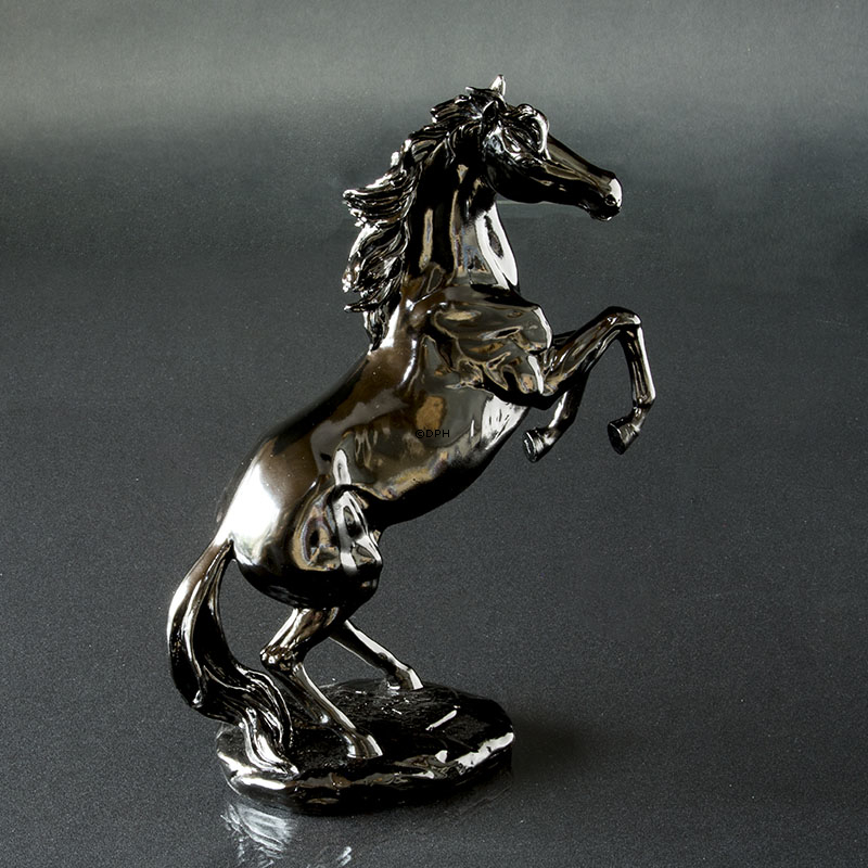 Aufzuchtpferd in Schwarz