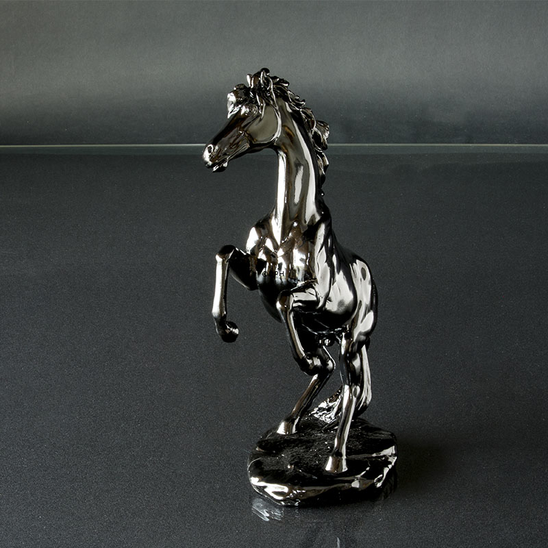 Aufzuchtpferd in Schwarz