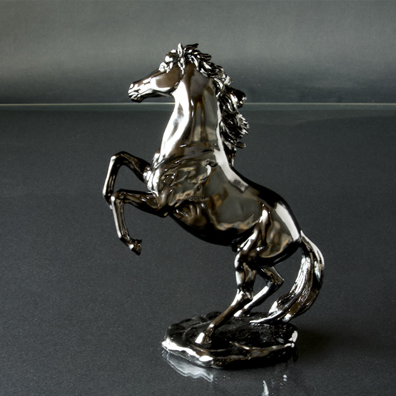 Aufzuchtpferd in Schwarz