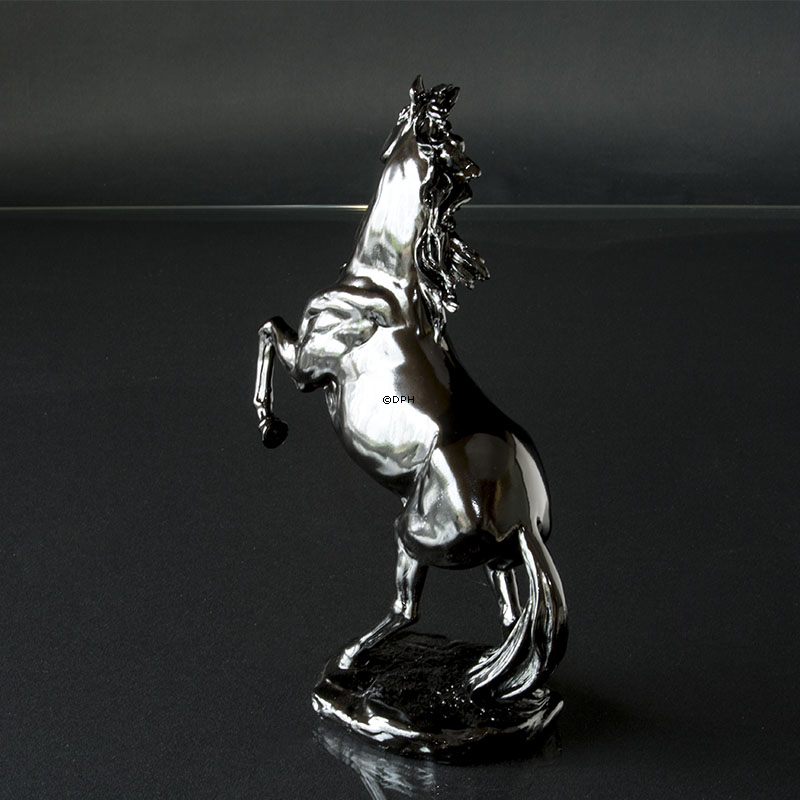 Aufzuchtpferd in Schwarz