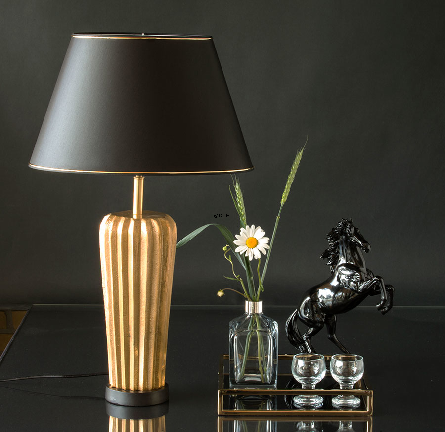 Aufzuchtpferd in Schwarz