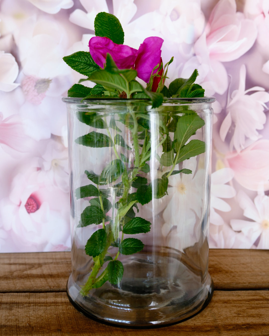 Zylindervase Mille H24cm klar