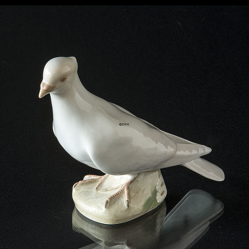 Weiße Taube, Royal Copenhagen Vogelfigur Nr. 1008, Sehr selten (1894-1922)