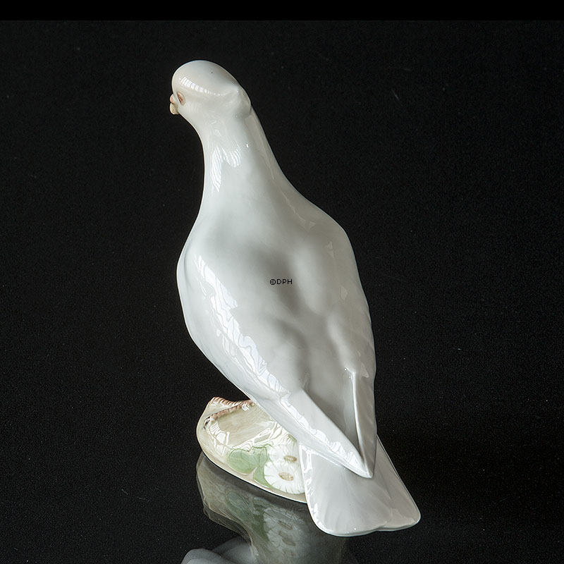 Weiße Taube, Royal Copenhagen Vogelfigur Nr. 1008, Sehr selten (1894-1922)