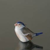 Fink sitzt auf, Royal Copenhagen Vogelfigur Nr. 1020081 