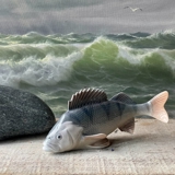 Barsch für den begeisterten Angler, Royal Copenhagen Fischfigur Nr. 1138