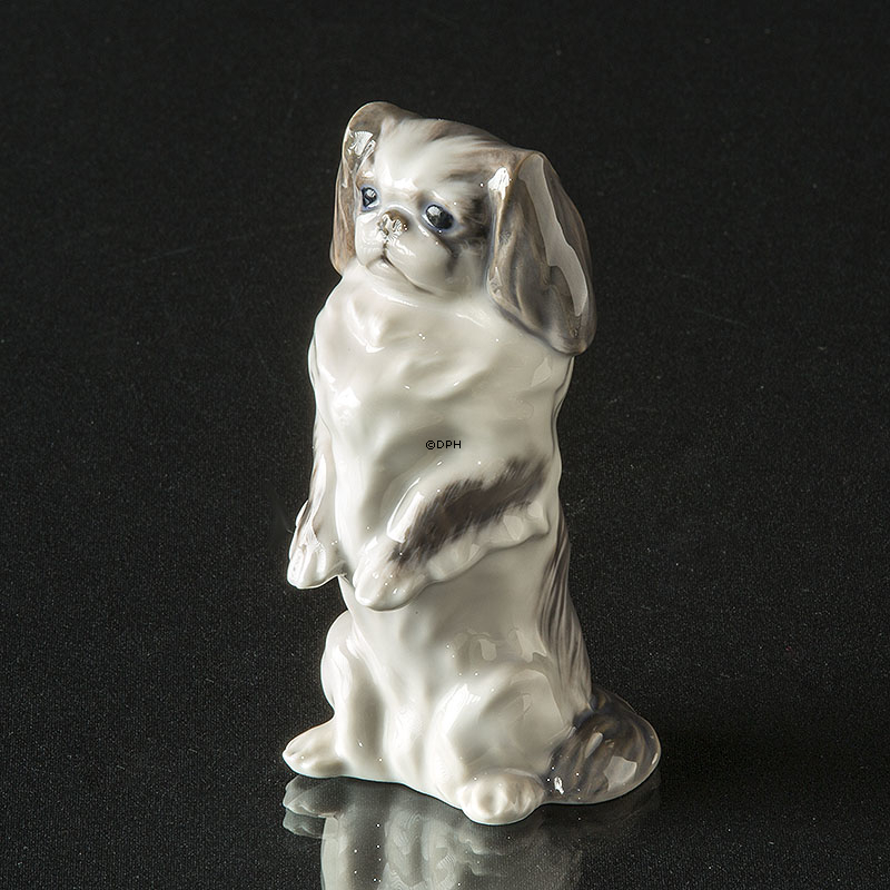 Pekinese, schwarz-weiß Royal Copenhagen Hundefigur Nr. 1452-1776 (1894-1922)