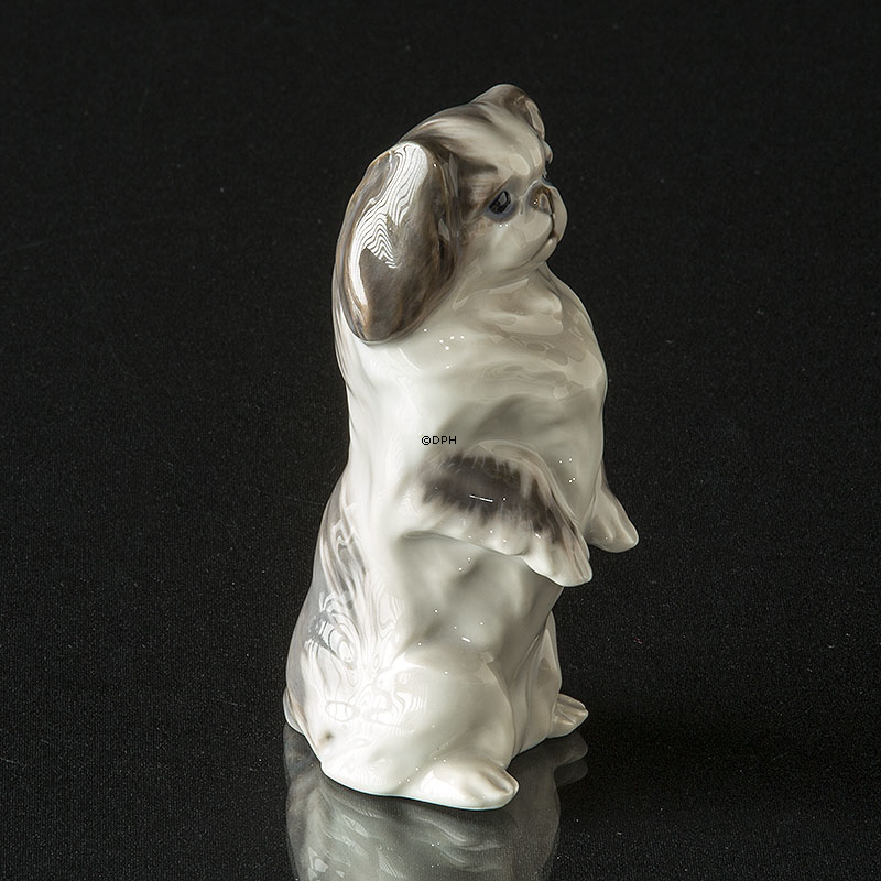 Pekinese, schwarz-weiß Royal Copenhagen Hundefigur Nr. 1452-1776 (1894-1922)
