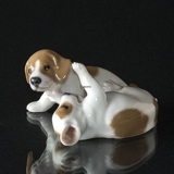 Pointer Welpen, Braun, Royal Copenhagen Hundefigur Nr. 1453-453