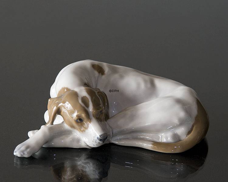 Pointer liegt und schaut sehns&#xFC;chtig, Royal Copenhagen Hund Figur Nr. 1634