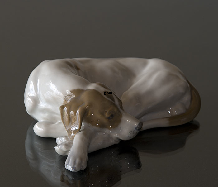 Pointer liegt und schaut sehnsüchtig, Royal Copenhagen Hund Figur Nr. 1634