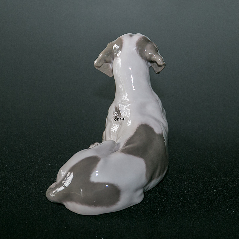 Royal Copenhagen Pointer mit Kopf nach oben 13X24CM, Figur Nr. 1635