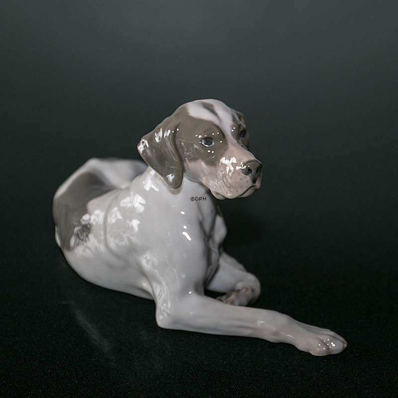 Royal Copenhagen Pointer mit Kopf nach oben 13X24CM, Figur Nr. 1635
