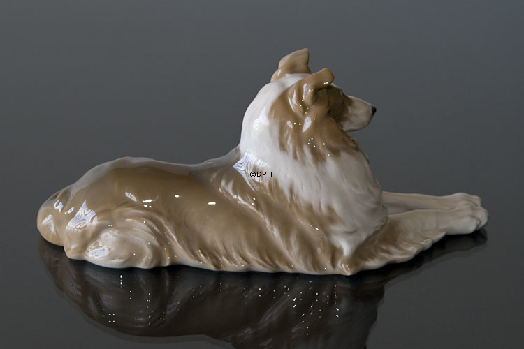 Collie liegt bequem, Royal Copenhagen Hund Figur Nr. 1701
