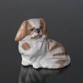 Pekingese Hund, der sich hinsetzt, Royal Copenhagen Hund Figur Nr. 1772