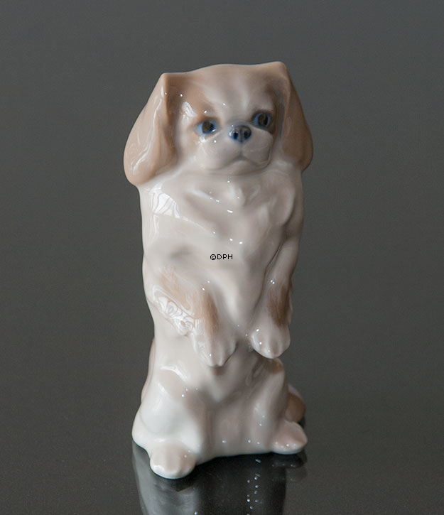 Pekingese Hund stehend, Royal Copenhagen Hund Figur Nr. 1776