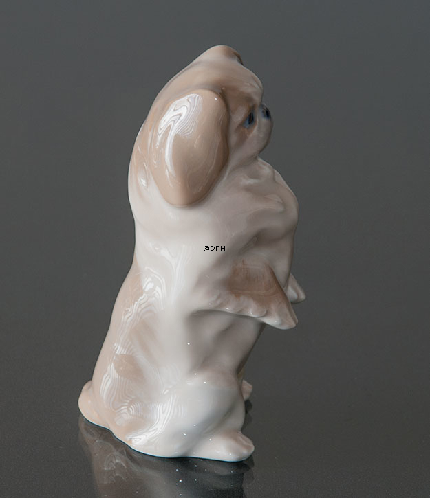 Pekingese Hund stehend, Royal Copenhagen Hund Figur Nr. 1776