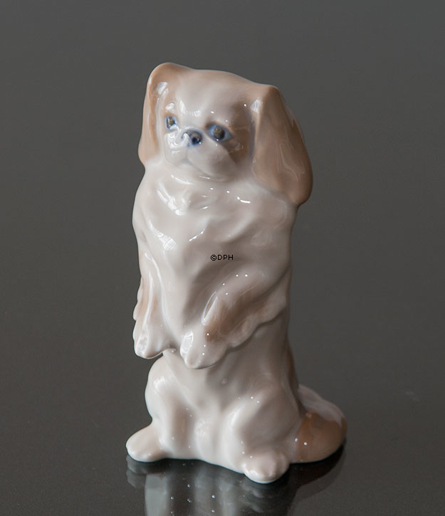 Pekingese Hund stehend, Royal Copenhagen Hund Figur Nr. 1776