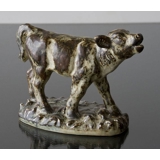 Kalb steht und muht, groß, Royal Copenhagen Steingutfigur Nr. 21736