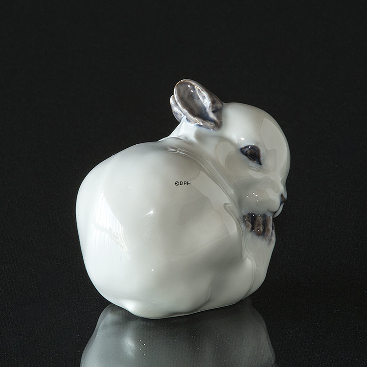 Weißes Kaninchen, Royal Copenhagen Figur Nr. 22692 in Porzellan