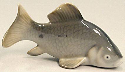 Karpfen, Royal Copenhagen Fisch Figur Nr. 2414