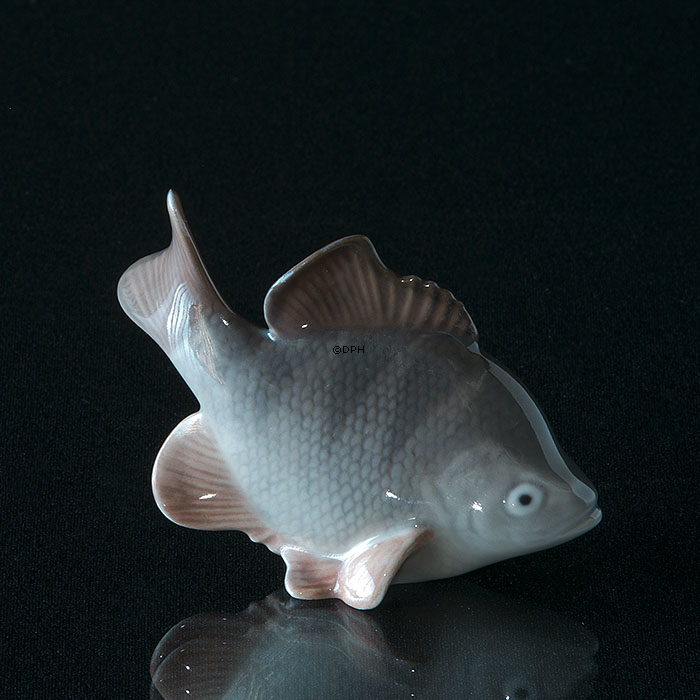 Amerikanischer Barsch, Royal Copenhagen Fisch Figur Nr. 2553