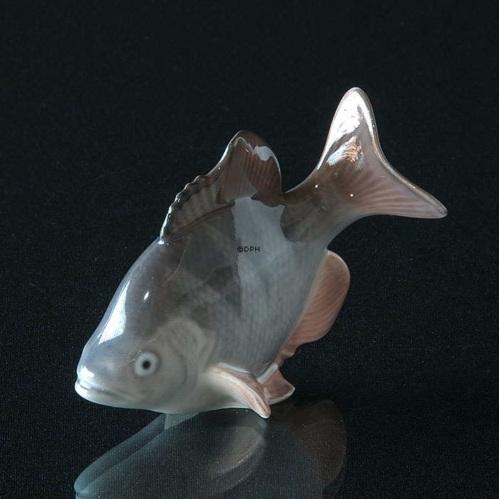 Amerikanischer Barsch, Royal Copenhagen Fisch Figur Nr. 2553