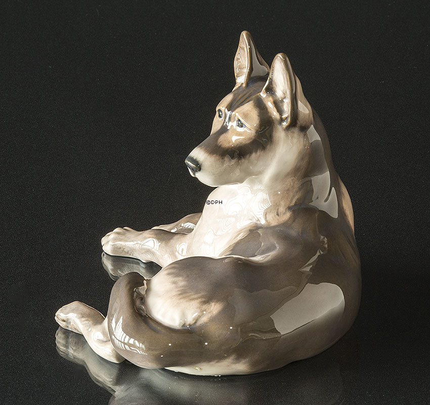 Deutscher Schäferhund, liegend, Große Royal Copenhagen Hundefigur Nr. 2803 (1922-1930)