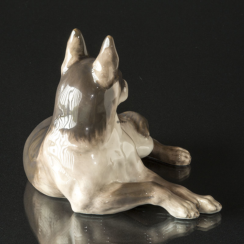 Deutscher Schäferhund, liegend, Große Royal Copenhagen Hundefigur Nr. 2803 (1922-1930)